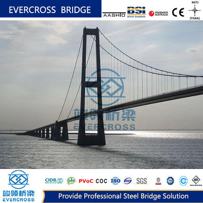 High Strength Cable Stayed Suspension Bridge Customized Large Span